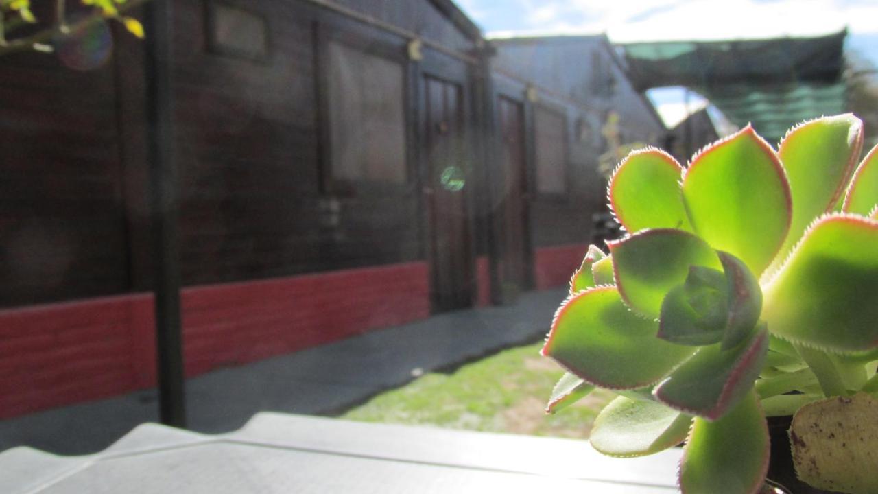 Hostal Del Suri Cafayate Dış mekan fotoğraf