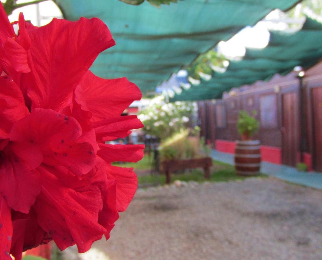 Hostal Del Suri Cafayate Dış mekan fotoğraf